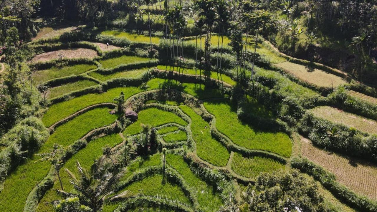 My Home Tetebatu Buitenkant foto