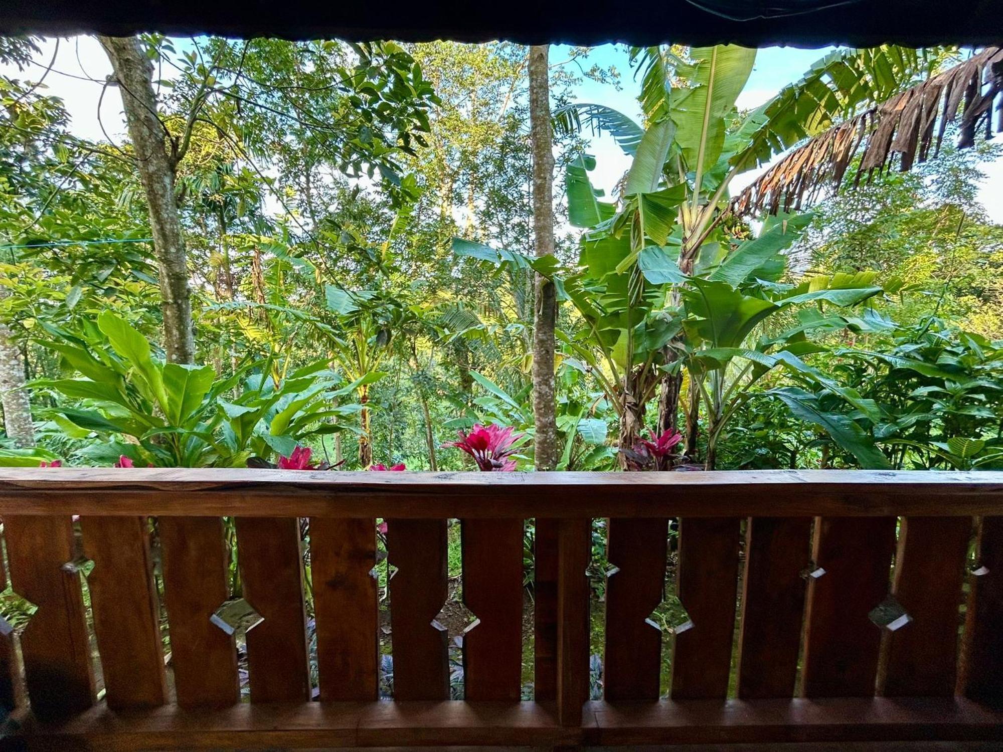 My Home Tetebatu Buitenkant foto